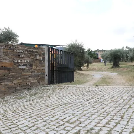 Quinta Dos Avidagos Βίλα