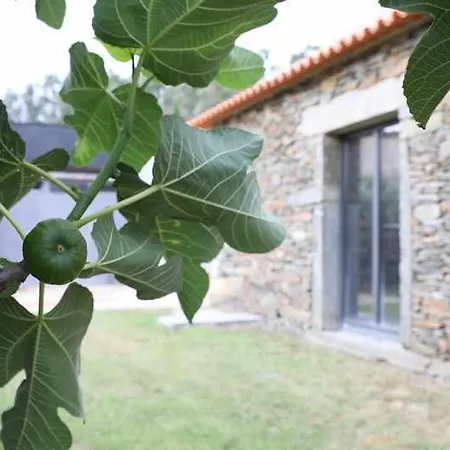 Quinta Dos Avidagos Βίλα