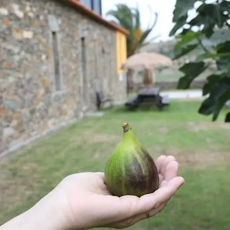 فيلة Quinta Dos Avidagos *