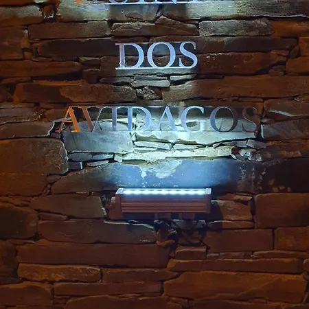 فيلة Quinta Dos Avidagos