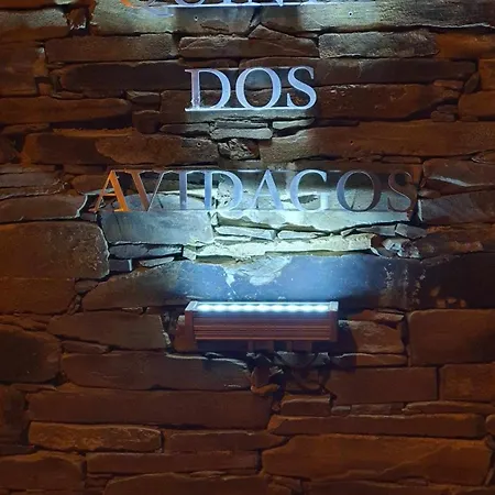 Villa Quinta Dos Avidagos