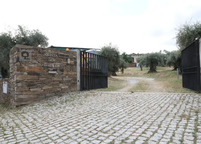 Quinta Dos Avidagos - Agroturismo, Villa