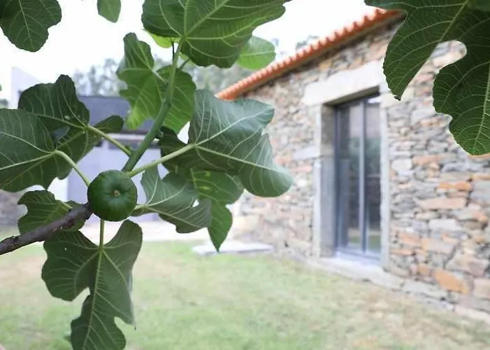 Quinta Dos Avidagos - Agroturismo, Villa