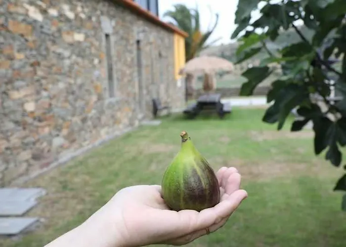 Villa Quinta Dos Avidagos *